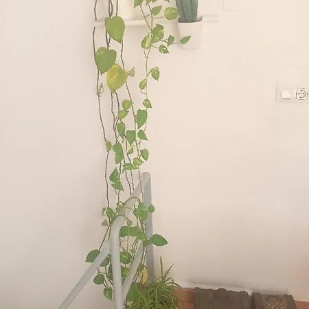 El Terrat De La Tecla - Duplex Casc Antic Appartement Tarragona