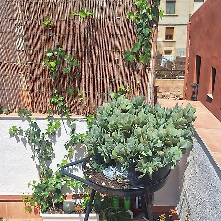 El Terrat De La Tecla - Duplex Casc Antic