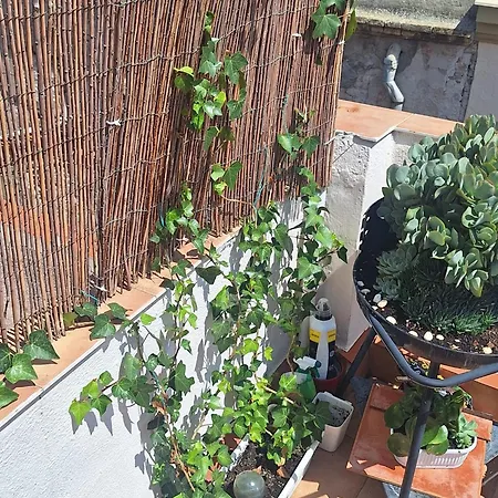 El Terrat De La Tecla - Duplex Casc Antic Apartment