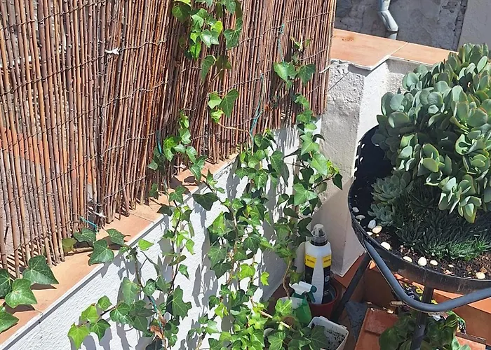 El Terrat De La Tecla - Duplex Casc Antic Apartament